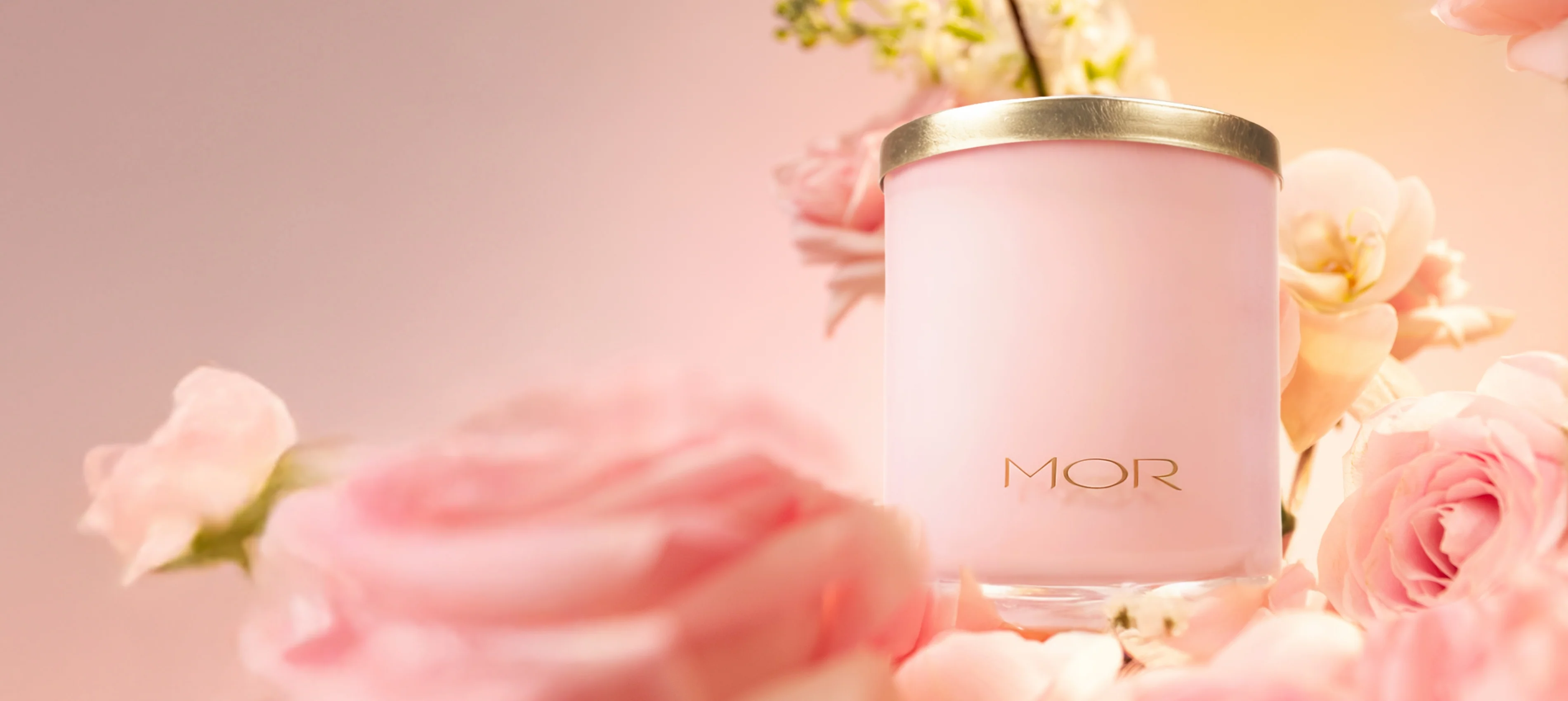 Welcome to Our Store